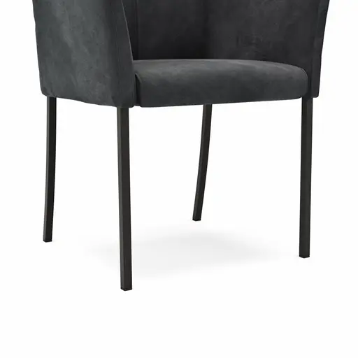 Armlehnstuhl 4110 - Stoff, Anthrazit