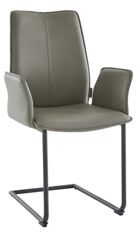 Freischwinger Stine - mit Armlehnen, Leder, Edelstahl gebürstet