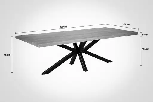 Esstisch - LB ca. 200x100 cm, Mango massiv, Baumkante, Schwarz