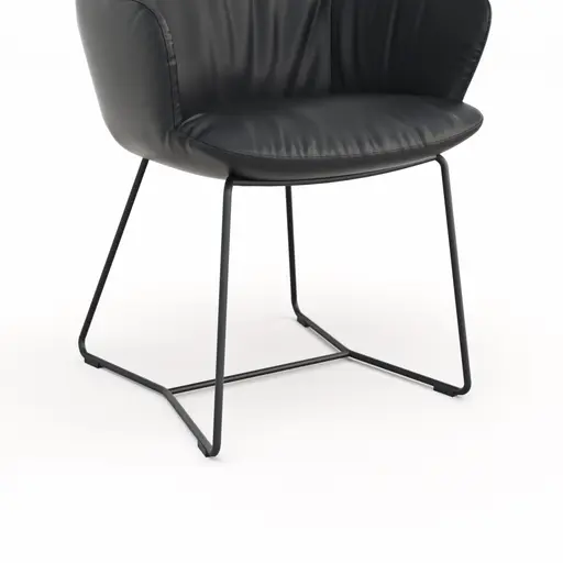 Armlehnstuhl Pegara - Leder, Schwarz, Kufe