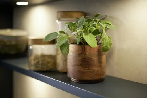 Inselküche 51.230 CO 1V1 525, Rillenoptik Eiche dunkel 