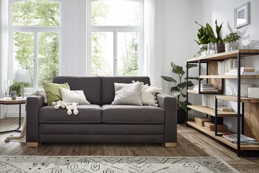 Sofa Lakeville 1 - 2-Sitzer inkl. Schlaffunktion, Stoff, Braun