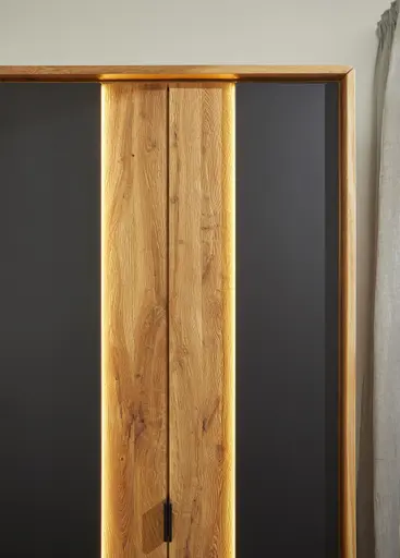 Drehtürenschrank Ottawa - inkl. Beleuchtung und Passepartout, B ca. 297 cm, Wildeiche massiv / Glas Anthrazit