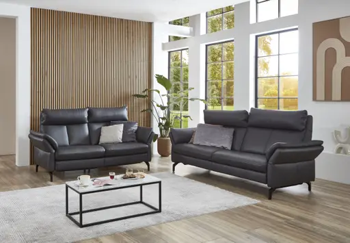 Sofa - 2,5-Sitzer, Leder, Anthrazit
