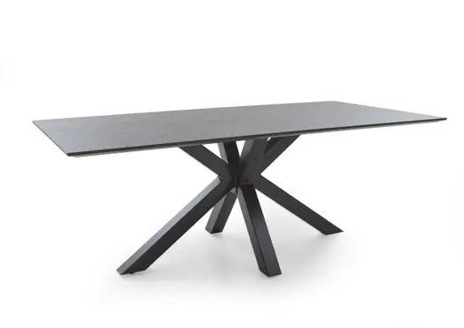 Esstisch - LB ca. 180x100 cm, Eiche furniert