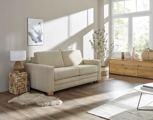 Sofa Lakeville - 2-Sitzer inkl. Schlaffunktion, Gestell Schwarz, Stoff, Beige