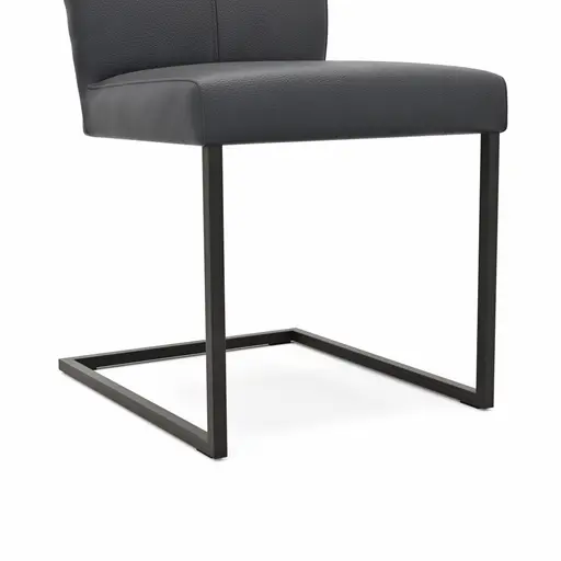 Freischwinger Edmonton - Leder, Anthrazit