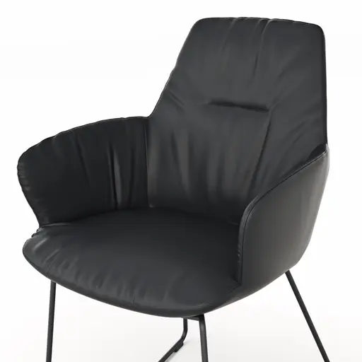 Armlehnstuhl Pegara - Leder, Schwarz, Kufe