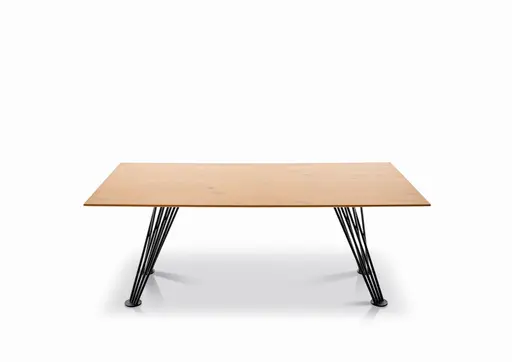 Esstisch - BL ca. 100x200 cm, Wildeiche Furniert