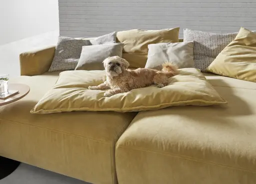 Megasofa Caruso - inklusive Kissen, Velour, Senfgelb