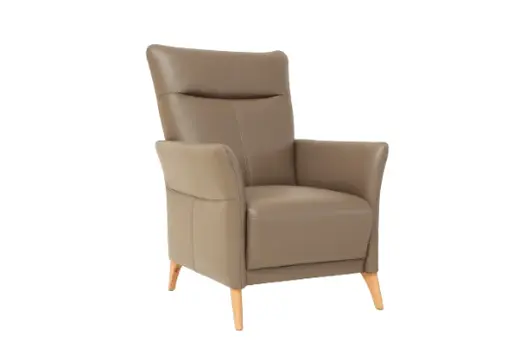 Sessel Rosario - Leder, Rauchbraun