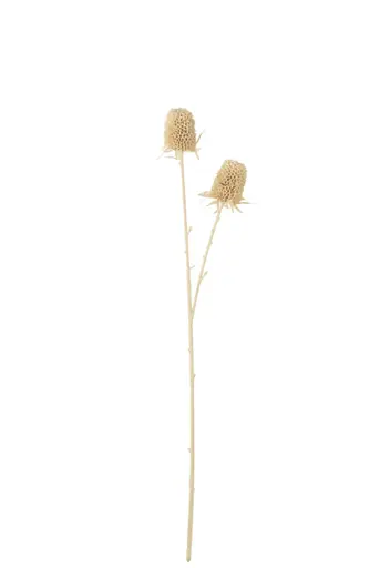 Deko-Zweig - LB ca. 67x8 cm, Cremefarben