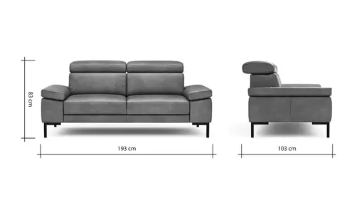 Sofa Hudson - 2,5-Sitzer, inkl. Kopfteil verstellbar, Leder, Braungrün