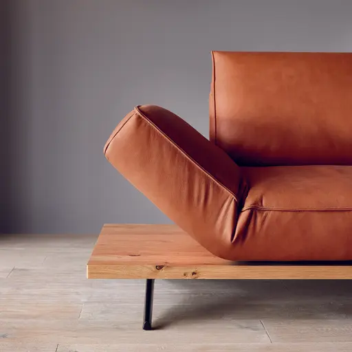 Sofa - 2,5-Sitzer, Rückenlehne/Armlehne verstellbar (manuell), Leder, Rost