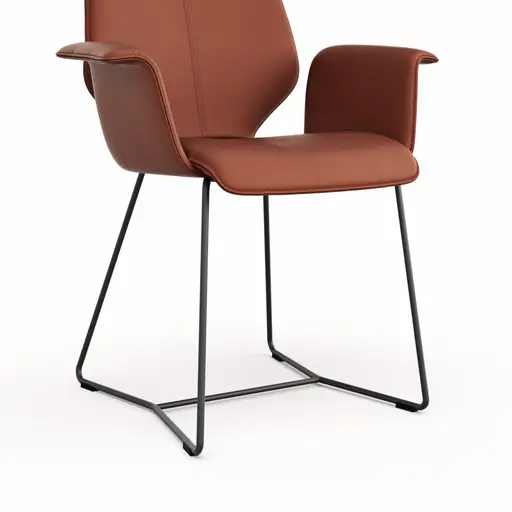 Armlehnstuhl Penthouse - Leder, Rost, Kufen, Anthrazit