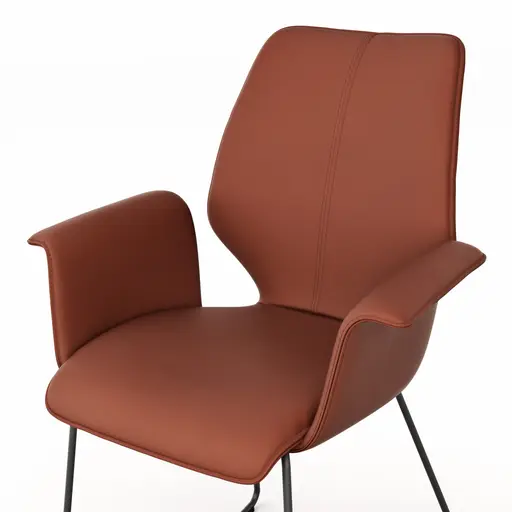 Armlehnstuhl Penthouse - Leder, Rost, Kufen, Anthrazit