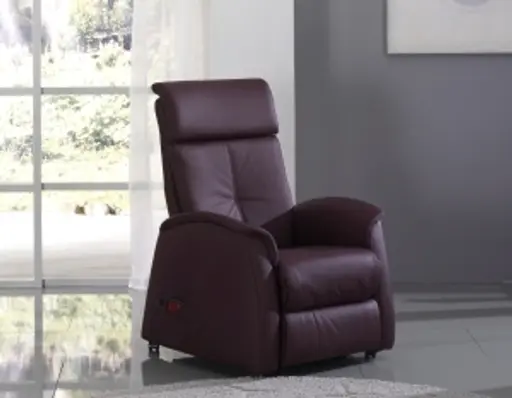 Fernsehsessel EM Bremen - Relaxfunktion (1-motorisch), Leder, Burgund