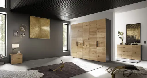 Drehtürenschrank JOIN IT- B ca. 252 cm., Schwarz, Eiche, Natur, Bretteroptik