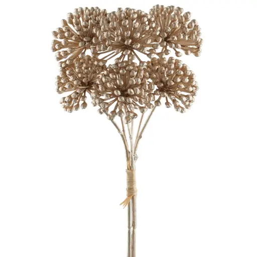 Deko-Alliumbund - BL ca. 9x25 cm, Champagner
