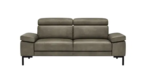 Sofa Hudson - 2,5-Sitzer, inkl. Kopfteil verstellbar, Leder, Braungrün