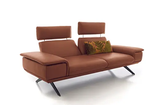 Sofa - 2,5-Sitzer, Kopfstütze/Armlehne verstellbar, Leder, Braungrün