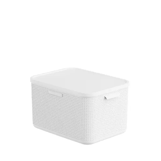 Aufbewahrungsbox mit Deckel L - LBH ca. 34,4x46,4x28,1 cm