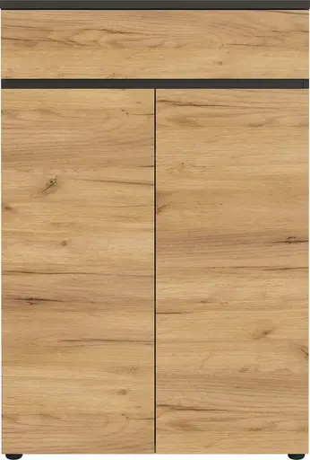 Aktenschrank GRIFFIN - B/H/T ca. 80x120x40 cm, Graphit, Eiche Dekor