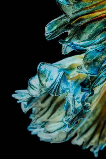 Glasbild - LB ca. 100x100 cm, Mehrfarbig, Schwarz