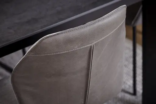 Freischwinger Pinto - Leder & Stoff, Grau