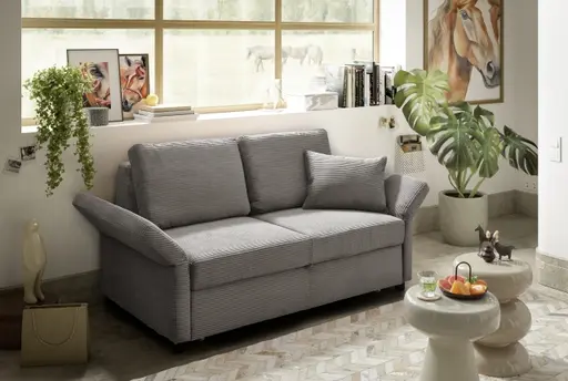 Sofa PRO FLEXX - 2-Sitzer inkl. Schlaffunktion, Stoff, Taupe