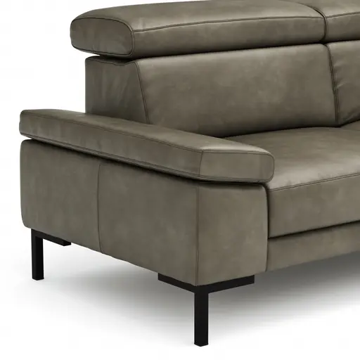 Sofa Hudson - 3-Sitzer, inkl. Kopfteil verstellbar, Leder, Braungrün