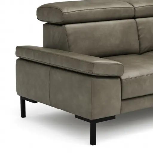 Sofa Hudson - 2,5-Sitzer, inkl. Kopfteil verstellbar, Leder, Braungrün