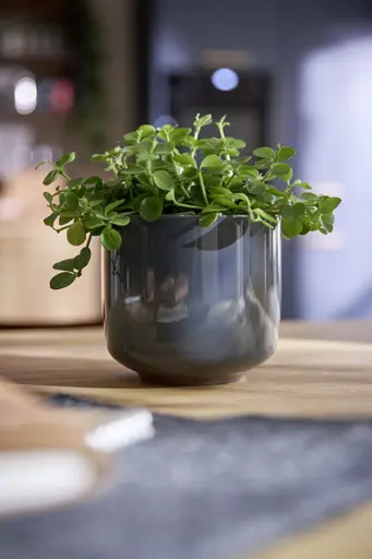 Küchenzeile 51.210 GL 2 525, tiefblau matt