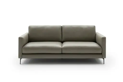 Sofa Cuneo - 2,5-Sitzer, Leder, Graubraun