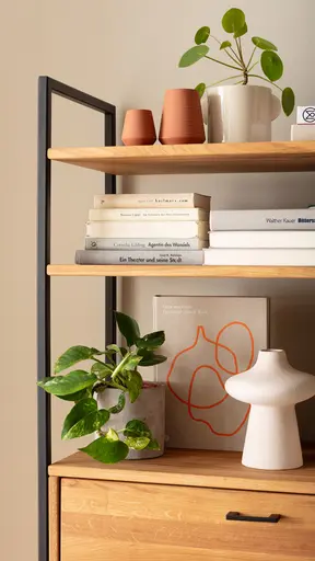 Regal Farmingdale - mit Klappe, Eiche massiv, natur geölt