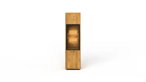 Vitrine Savannah - Anschlag links, inkl. Beleuchtung, Wildeiche massiv, natur geölt