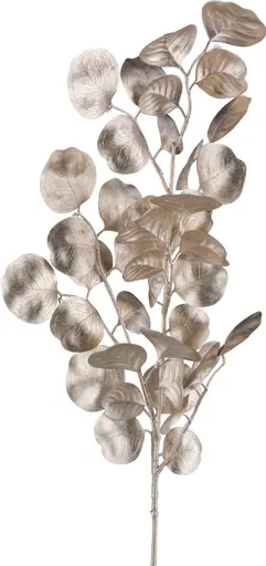 Deko-Eucalyptuszweig - BL ca. 30x77 cm, Champagner