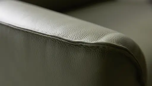 Sofa Amadena - 2-Sitzer inkl. Relaxfunktion motorisch und Kopfteil verstellbar, Leder, Olive