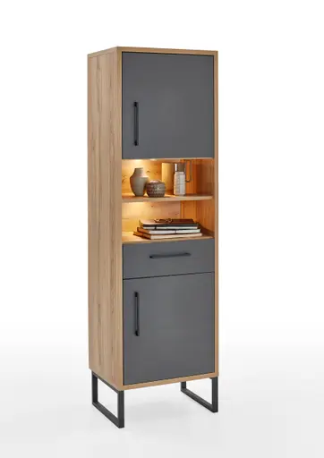 Regal - mit Beleuchtung, Wildeiche Dekor