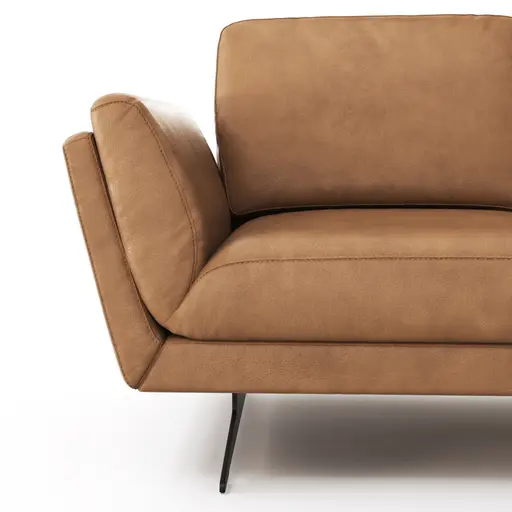 Sofa Tova - 2-Sitzer inkl. Rücken- und Armlehnfunktion, Kufe, Leder, Cognac