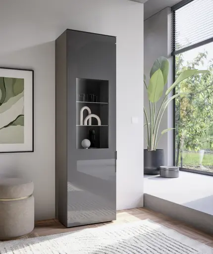 Vitrine- inkl. LED-Beleuchtung, Anthrazit