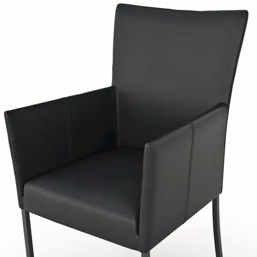 Armlehnstuhl Penthouse - Leder, Schwarz, 4 Fuß, Metall, Schwarz