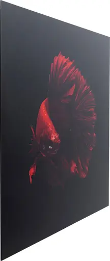 Glasbild - LB ca. 100x100 cm, Rot, Schwarz
