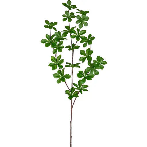 Deko-Louisianazweig - L ca. 71 cm, Grün