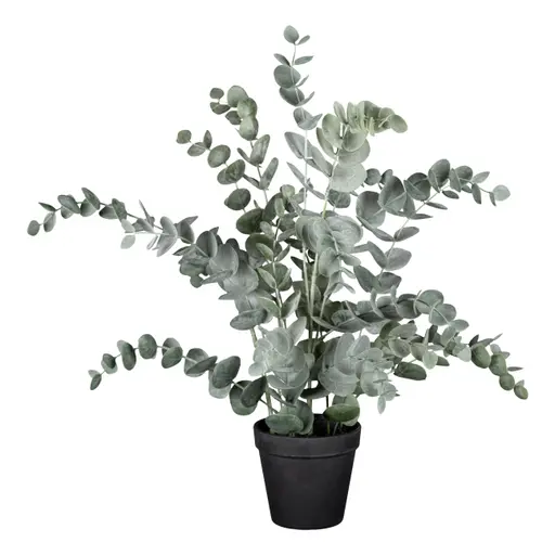 Deko-Eucalypthus - H ca. 53 cm, Grün, Schwarz