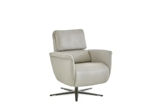 TV-Sessel - Relaxfunktion, Leder, Alufarben