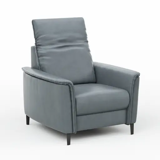 Sessel Bolivien - Kopfteil verstellbar, Leder, Steel