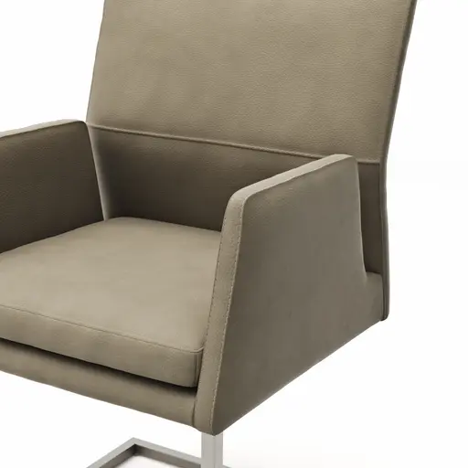 Armlehnstuhl Carry - Leder, Olive