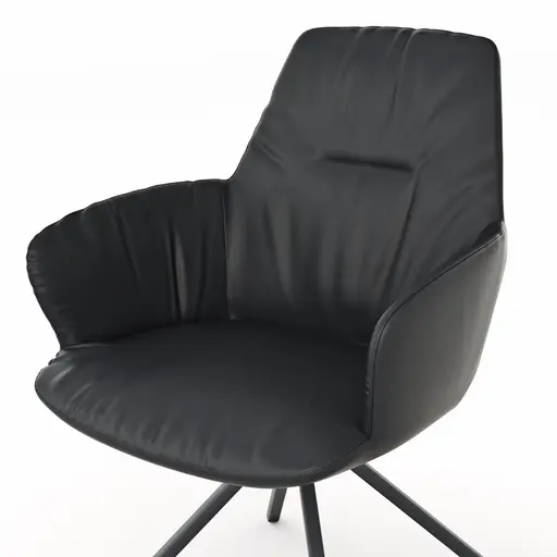 Armlehnstuhl Pegara - Leder, Schwarz