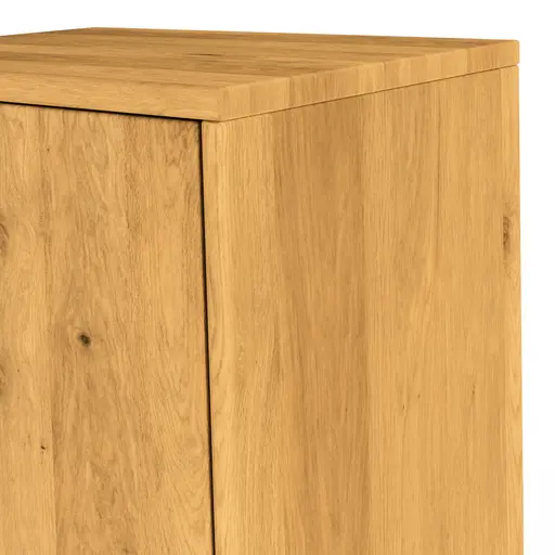 Vitrine Savannah - Anschlag links, inkl. Beleuchtung, Wildeiche massiv, natur geölt